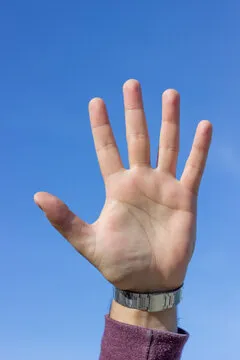 社群运营专家